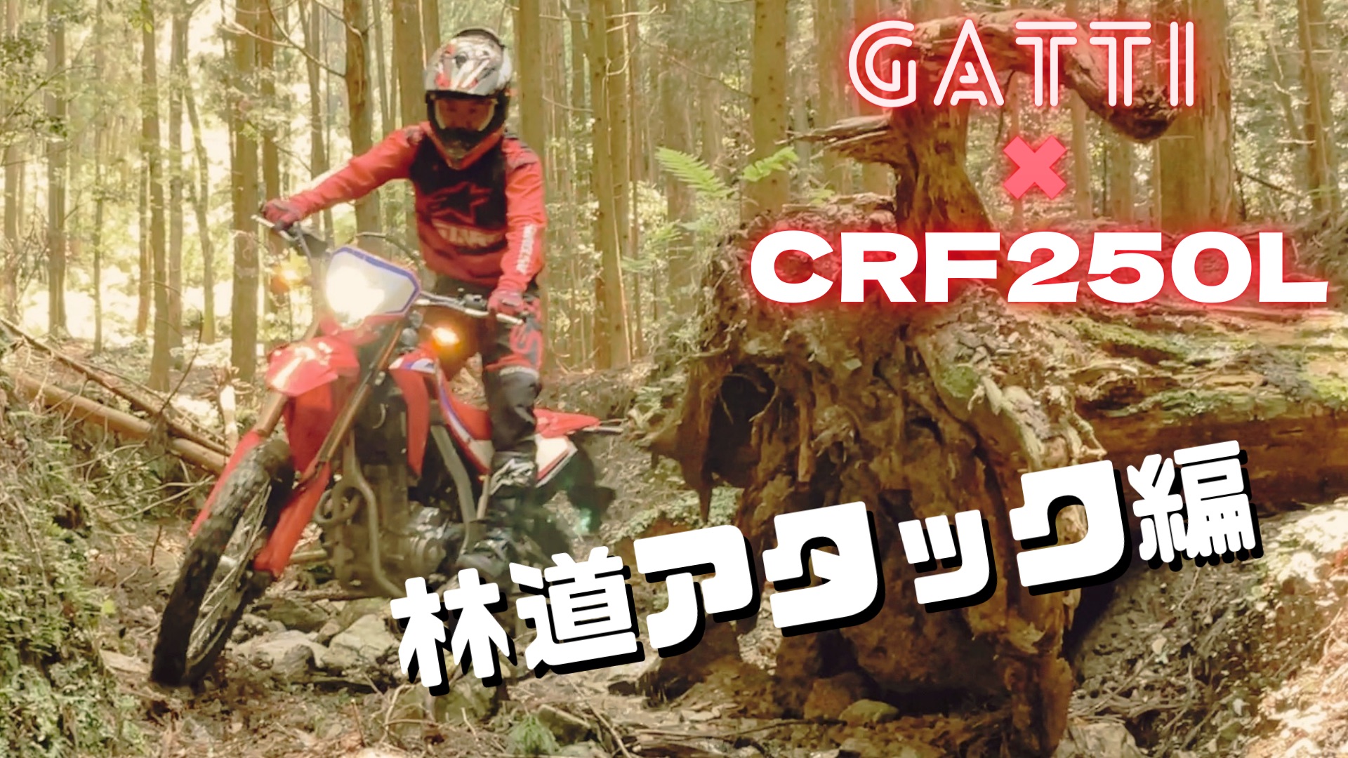 前人未到の全日本トライアルV10・8連覇チャンピオンが、CRF250Lで林道