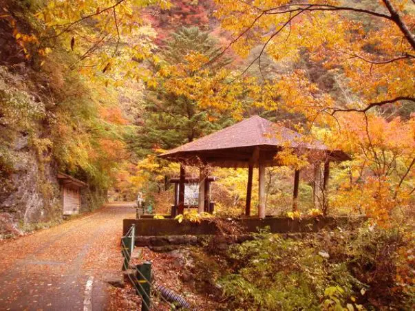 中国・四国エリア」の『もみじ狩りツーリング』ならココ！秘境にある