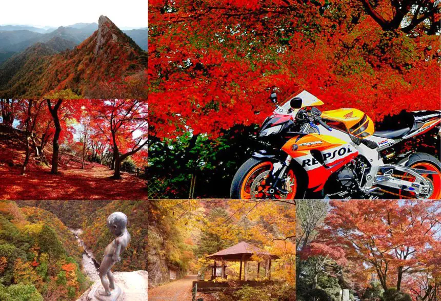 四国エリアで一生に一度は見に行きたい絶景『紅葉スポット』はこの5つ