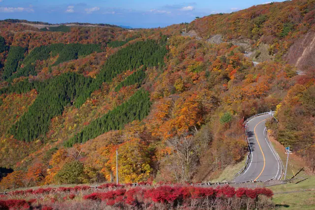 紅葉ページ ココなら間違い無し！この時期バイクで行きたい「関西エリア」の