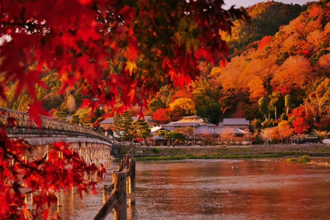 紅葉ページ 関西エリアから日帰りで行けるおすすめの『絶景紅葉スポット