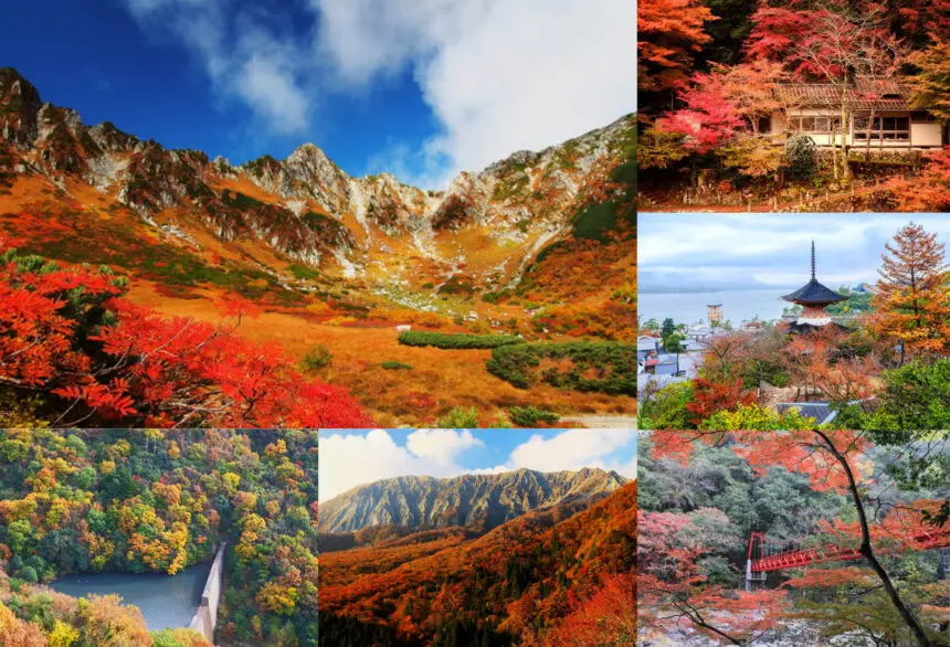 四国エリアで一生に一度は見に行きたい絶景『紅葉スポット』はこの5つ