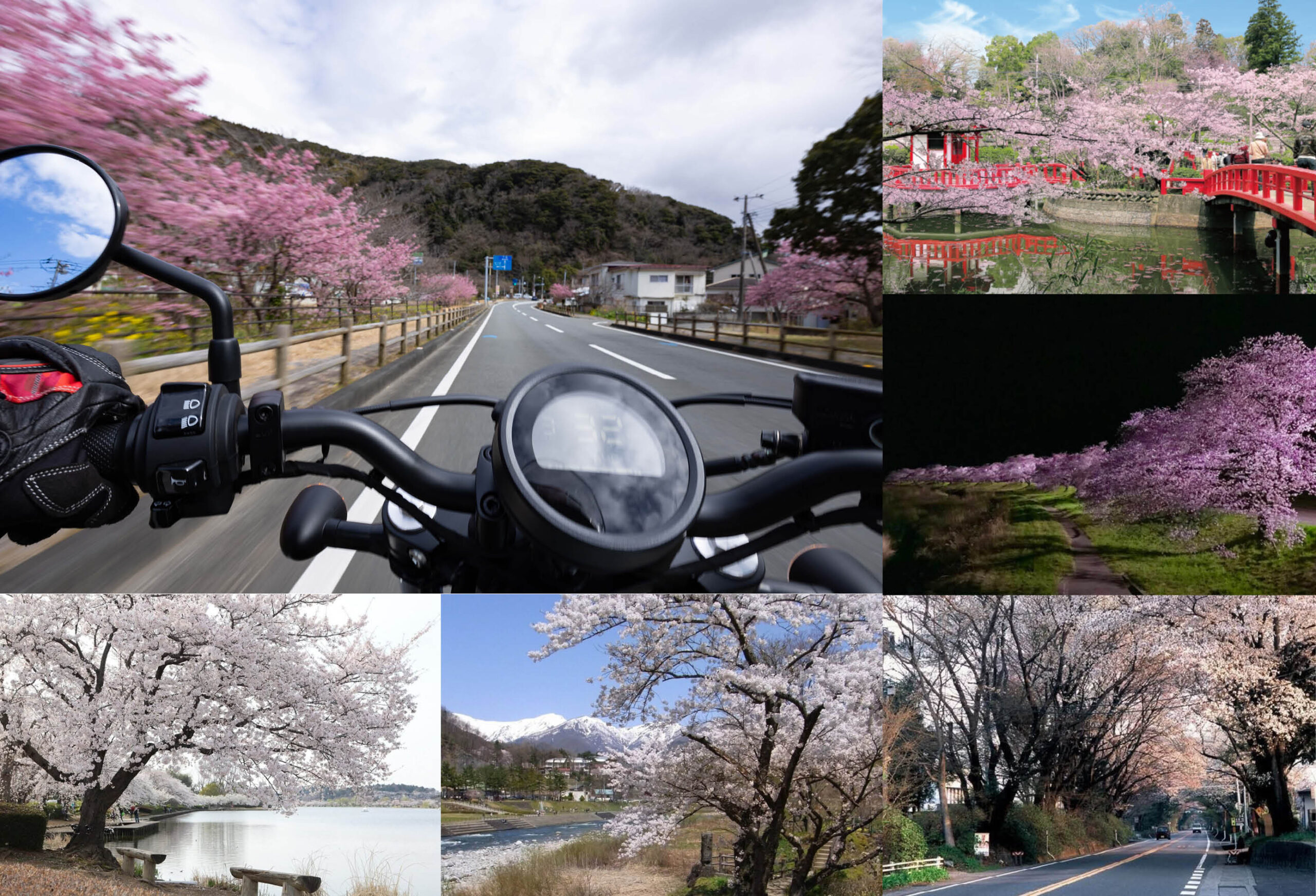桜ページ 2023桜特設ページ | Deviser ｜株式会社ディバイザー｜長野県