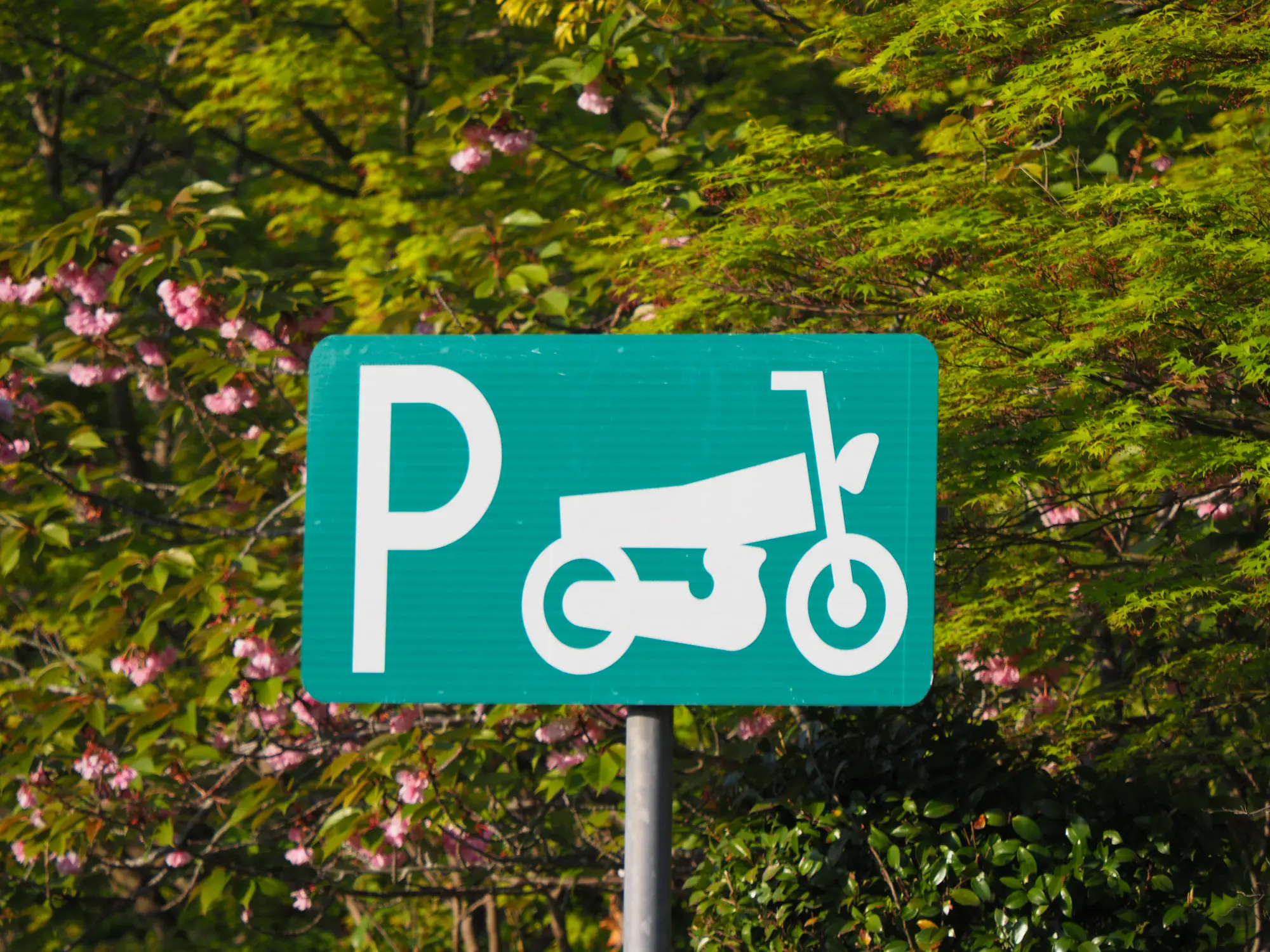 九州エリアならではの絶品グルメが楽しめる『SA・PA』はココ！【高速