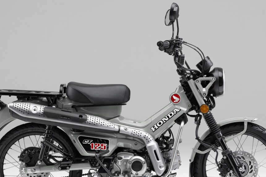 ホンダ　ハンターカブ ct125用　Motorcycle NEXYL製 Amazon | Motorcycle NEXYL ホンダ ハンターカブCT125用