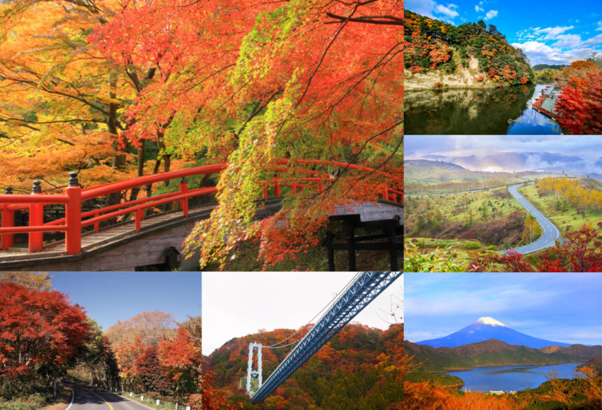 紅葉の名所＿アイキャッチ画像用