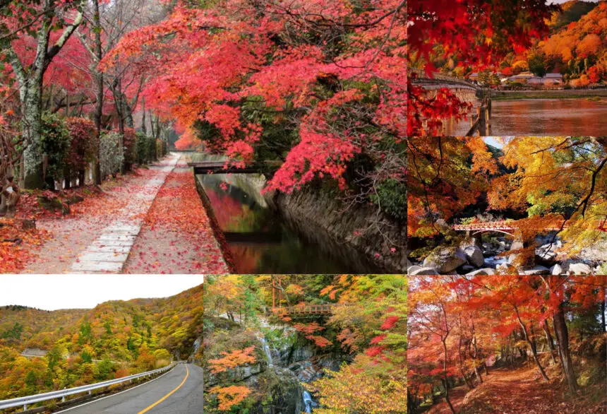 関西エリアから日帰りで行けるおすすめの『絶景紅葉スポット』集めまし