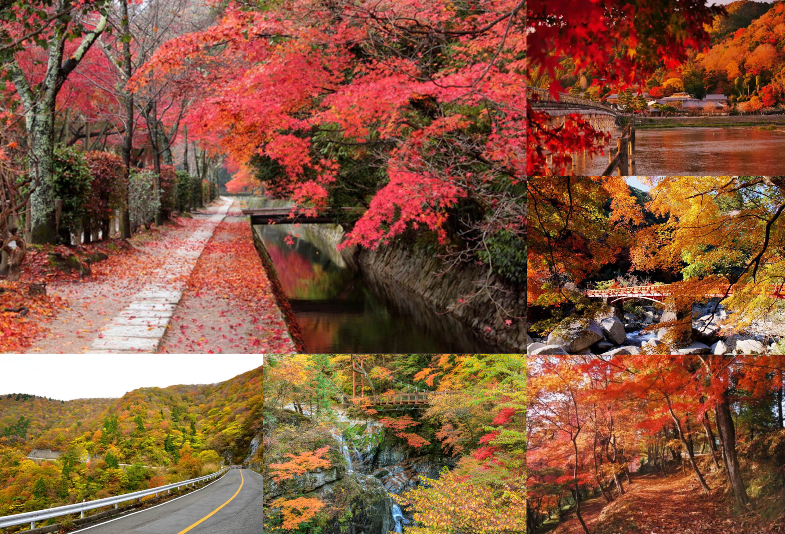 関西エリアから日帰りで行けるおすすめの『絶景紅葉スポット』集めまし