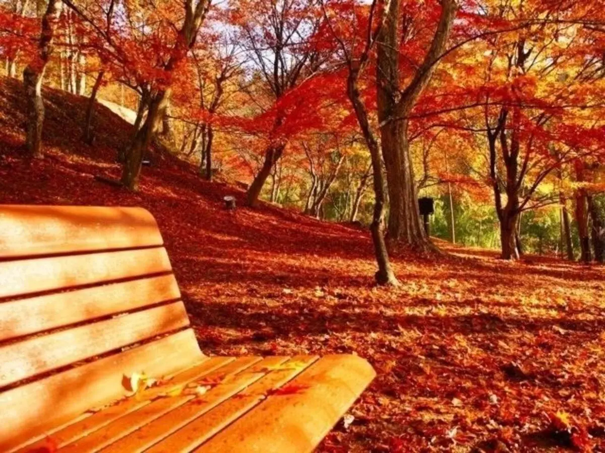 紅葉ページ 関西エリアから日帰りで行けるおすすめの『絶景紅葉スポット