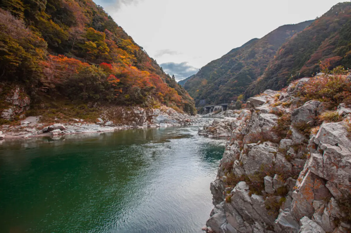 四国エリアで一生に一度は見に行きたい絶景『紅葉スポット』はこの5つ
