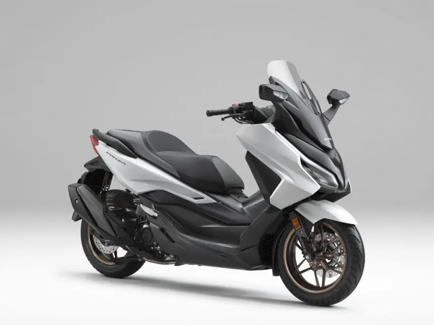 25YM_FORZA_white_7-3_v4-