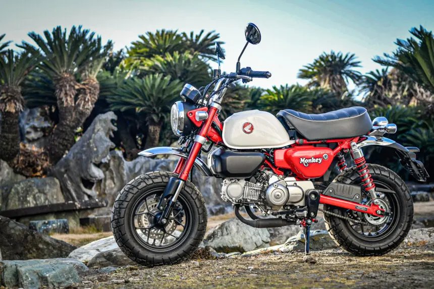 フリーダム】モンキー125が正統派なら『ダックス125』は異端？ ある