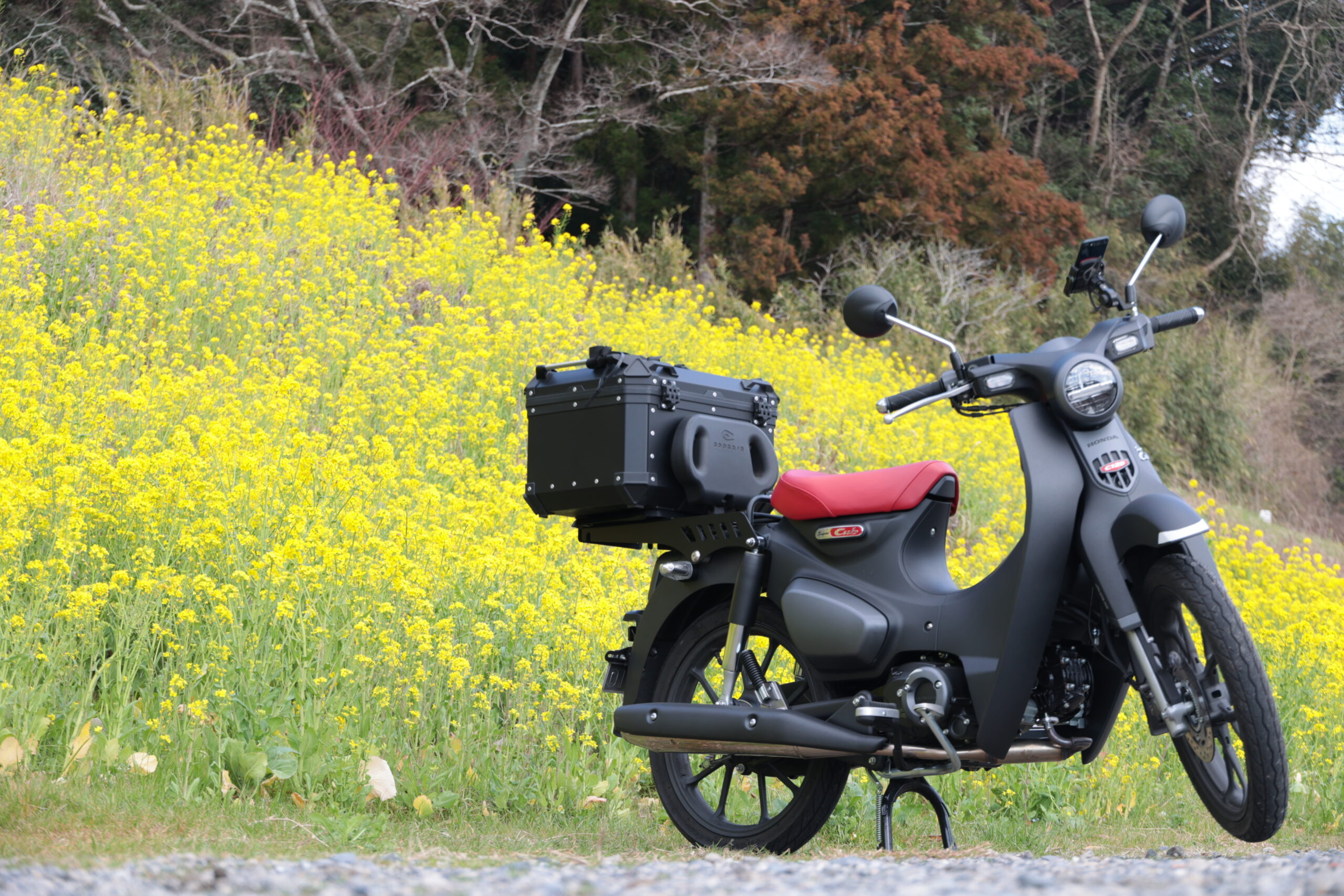 spring-touring-point-08