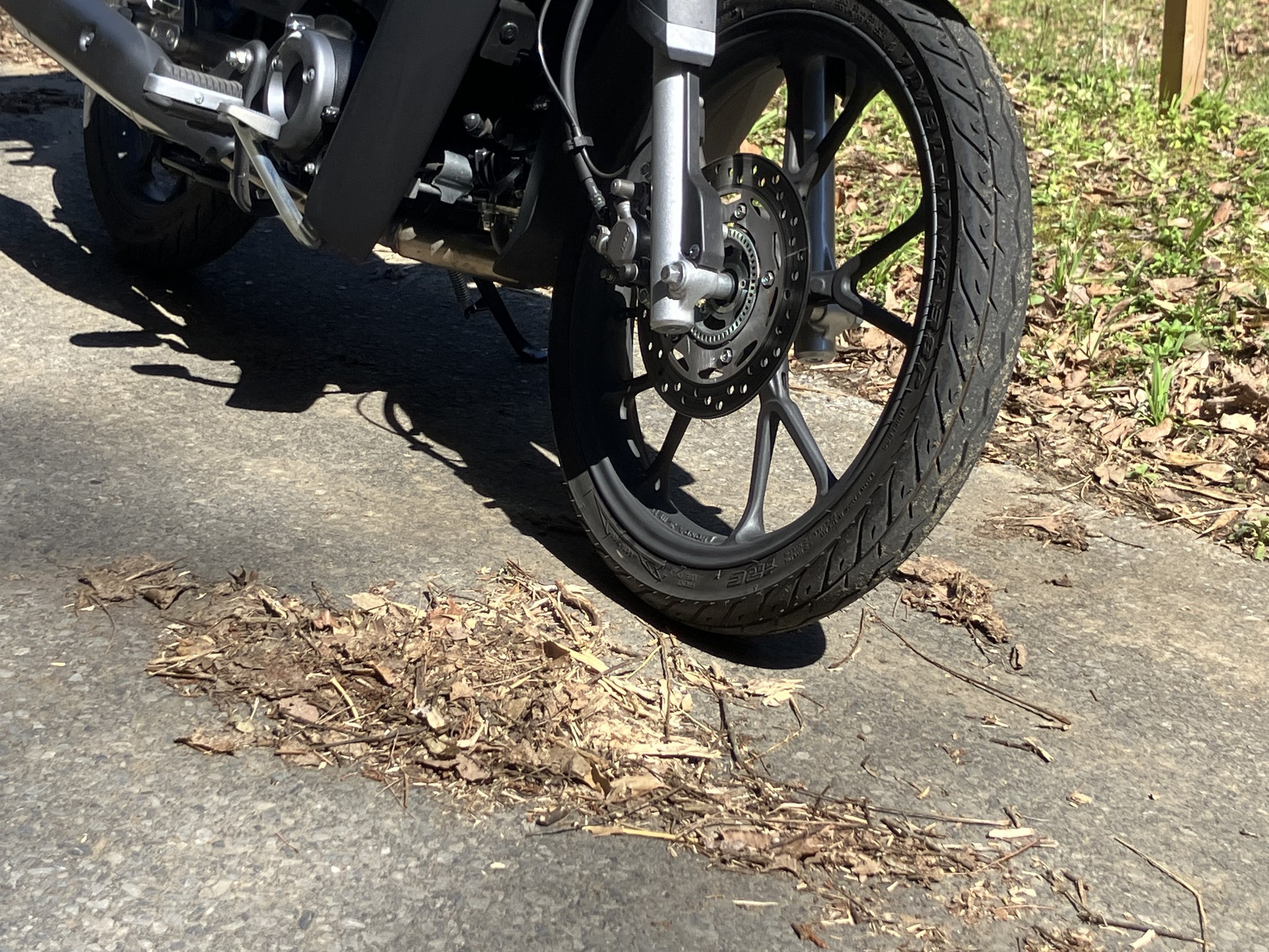 spring-touring-point-03-B