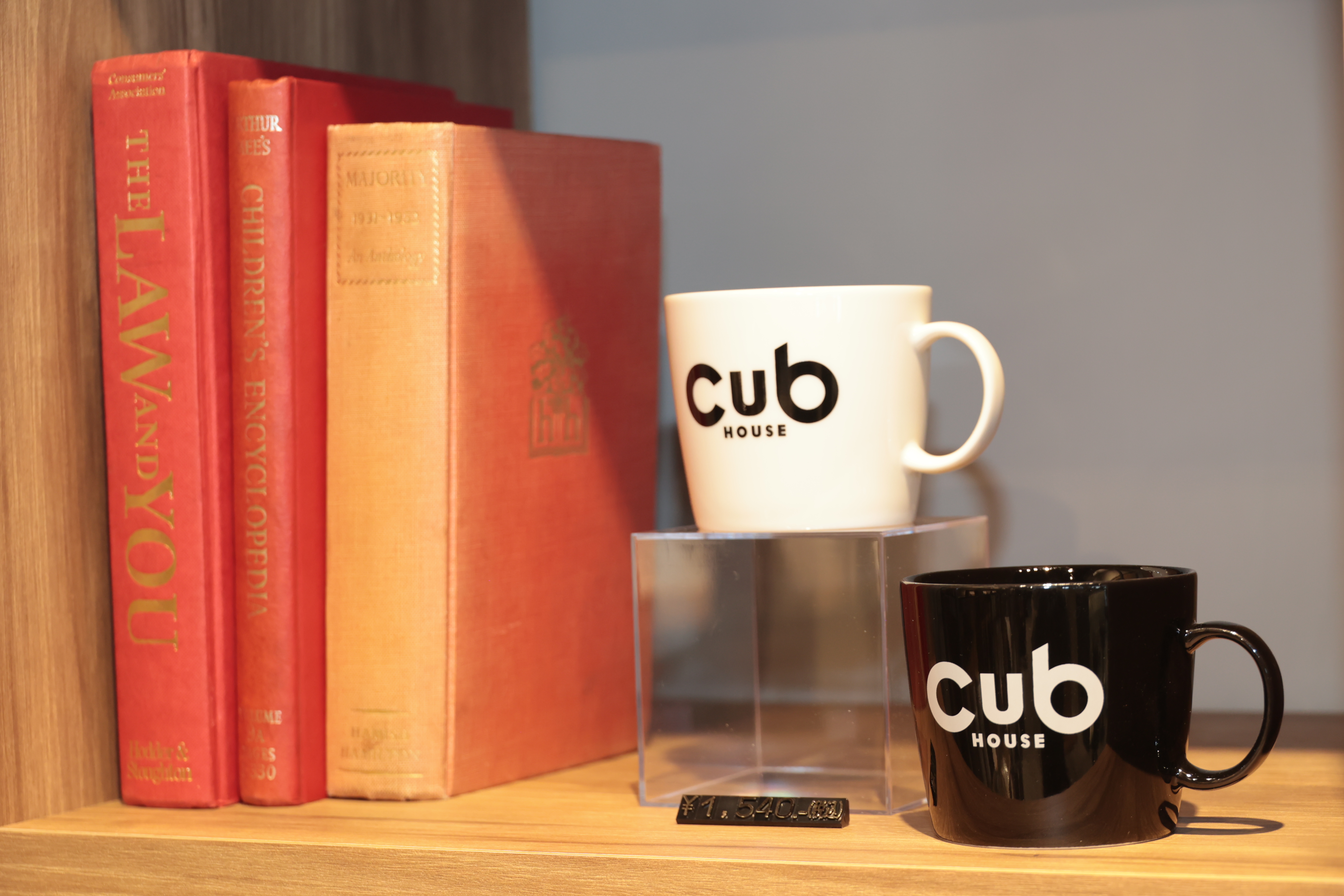 Cub HOUSE_GOOD2