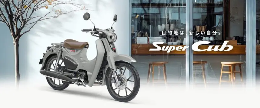 ★カスタムカブ 125c c ホンダC125】これもカブ！ 181cc化＆二人乗り化しちゃったゴリゴリ仕様